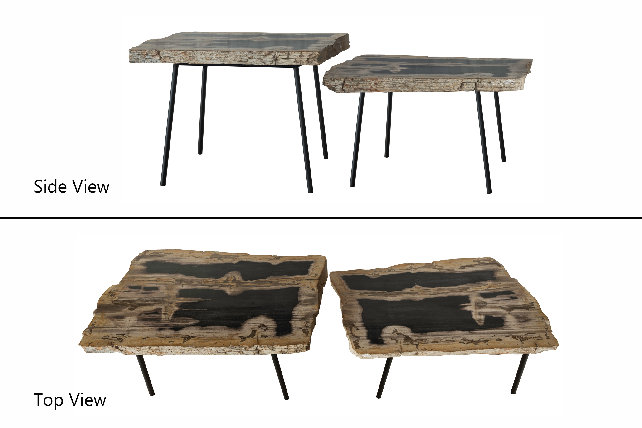 Petrified Wood Two-Tier Table