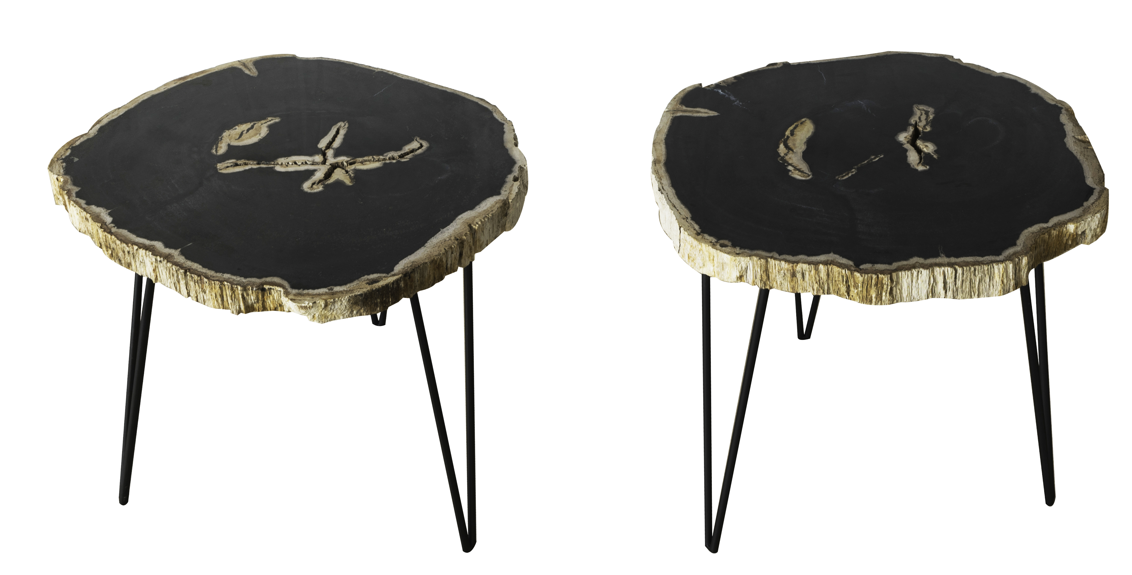 Petrified Wood Sm Round Side Table