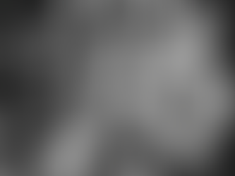 Hareketin İçindeki Mutlak Sükunet: Sema Bir Dans Değil, Kozmik Bir Zikirdir