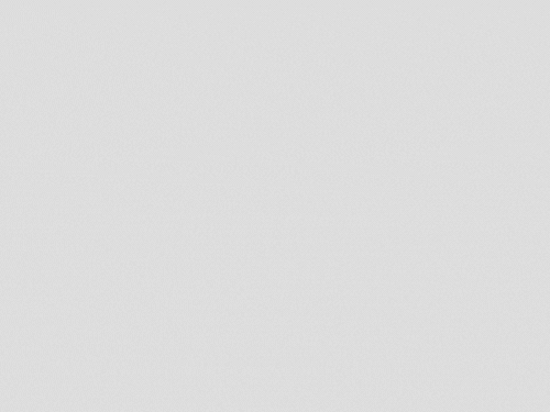 giphy (28).gif