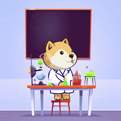 giphy (25).gif