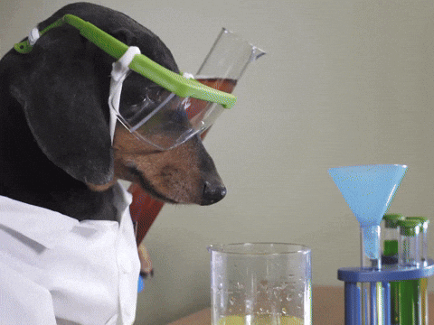 giphy (16).gif