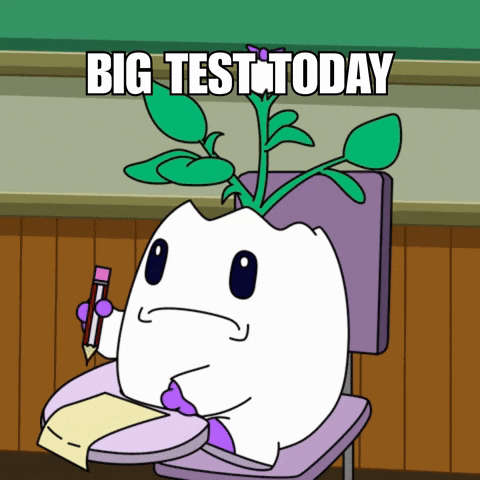 giphy (4).gif