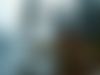 The Appeal of Private Lake Cabins: Your Secluded Lakefront Escape