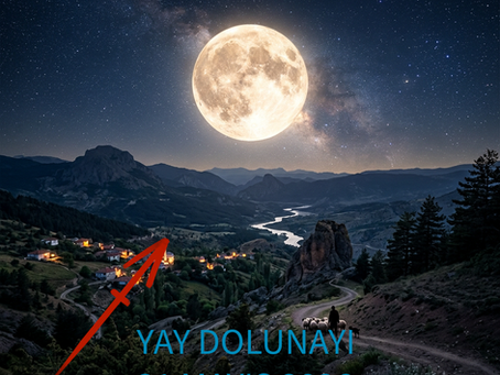 YAY BURCUNDA DOLUNAY