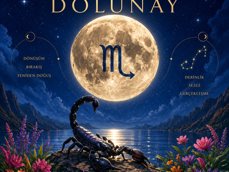 AKREP BURCUNDA DOLUNAY