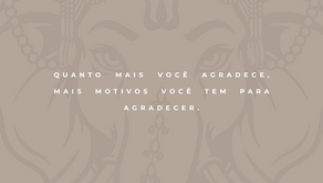 Gratidão incondicional: o campo onde tudo floresce