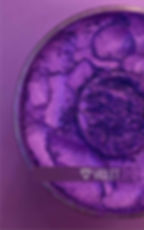 Thumbnail: Craft pigment, Violet
