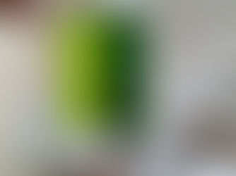 Visita al laboratorio. 6° grado: 