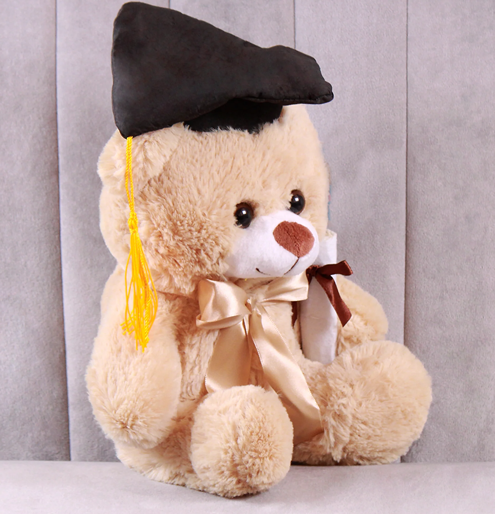 Miniatura: 12PZAS OSO DE PELUCHE GRADUADO  25CMS  "TEDY GRADUADO"