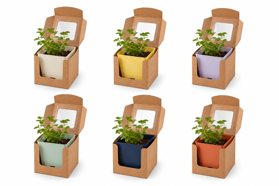 Huerto Eco-Friendly en Maceta Reciclada