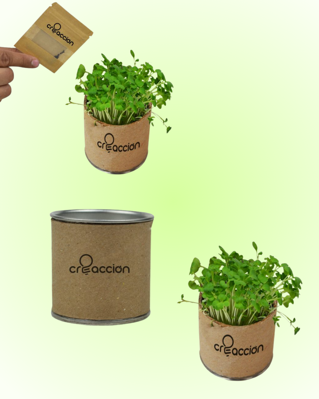 200PZAS HUERTO ECO-FRIENDLY PORTÁTIL EN TUBO DE CARTÓN "ECO-CAJA TUBO"