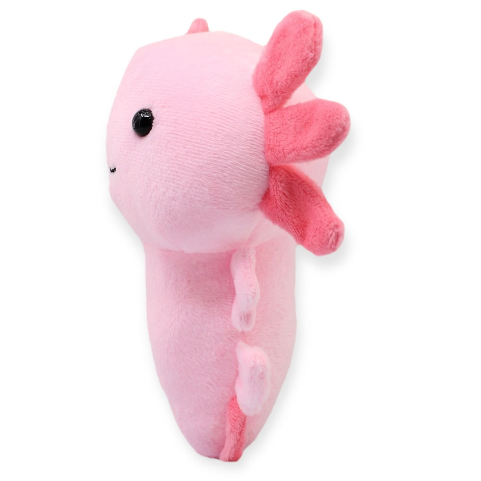 Miniatura: 25PZAS AJOLOTE DE PELUCHE   23X21CMS  "AJOLOTE MORY"