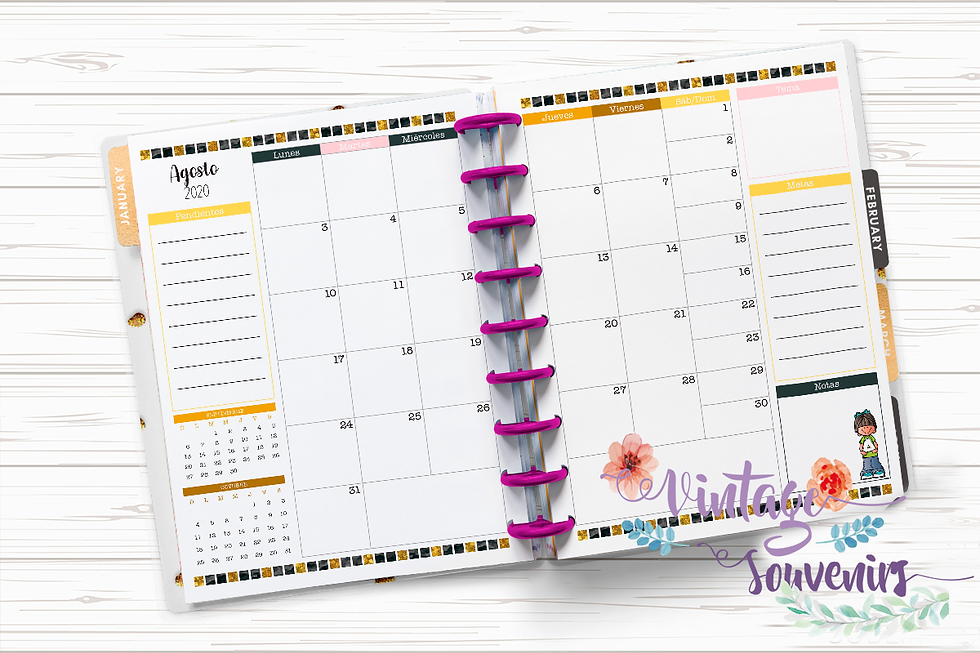 Miniatura: PLANNER MAESTRAS COLORIDA