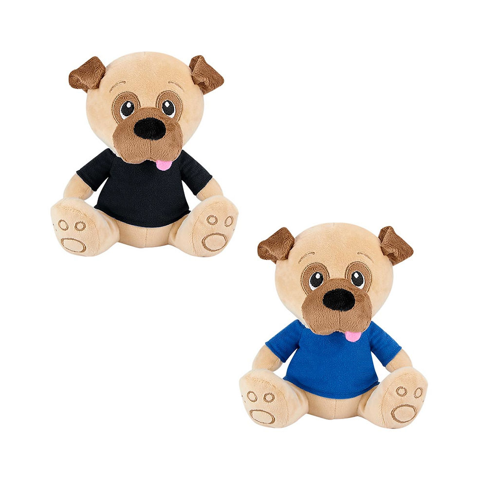 Miniatura: PERRO DE PELUCHE CON PLAYERITA "PAN"