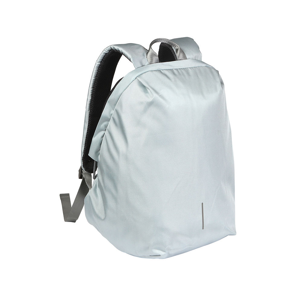 Miniatura: BACKPACK ACOLCHADA PARA LAPTOP  "ZULU"