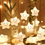Miniatura: 25PZAS TIRA DE LUCES LED CON DIFERENTES FIGURAS PARA DECORACIÓN
