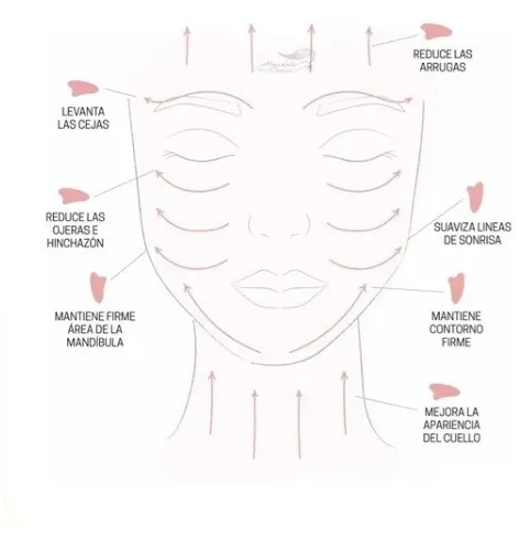 Miniatura: 12PAQ. MASAJEADOR EN RODILLO Y GUASHA ESPATULA DE JADE FACIAL