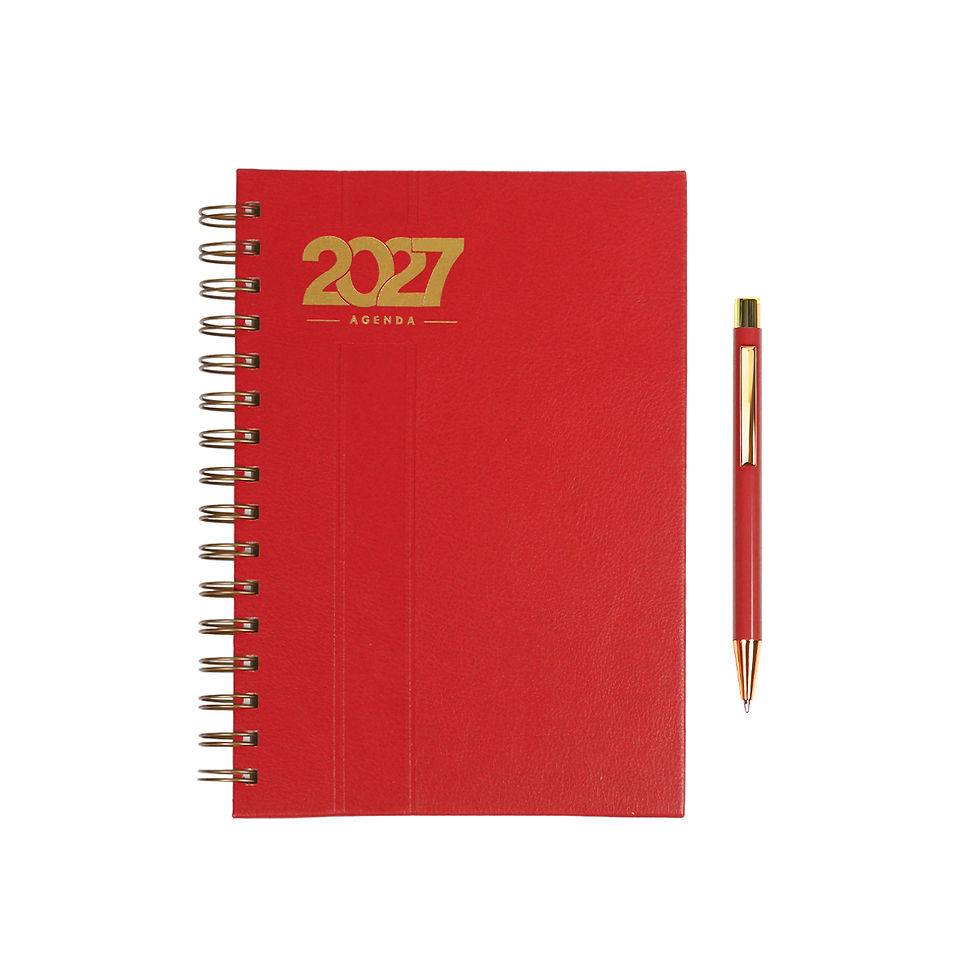 Miniatura: 30PZS AGENDA DIARIA CON ESPIRAL Y BOLÍGRAFO EN CAJA DE REGALO "BERN"