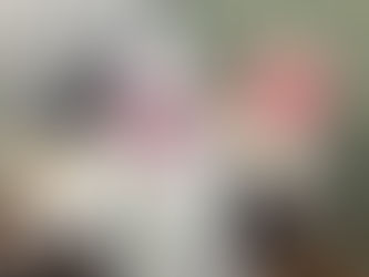 勉強が苦手でも、大丈夫です。