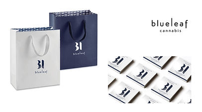 BlueLeaf Logo presentation5_edited.jpg