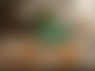 Multiple plates of cooked tempeh dishes and chopsticks on a wooden table, featuring a green package of Jans Royal Tempeh.