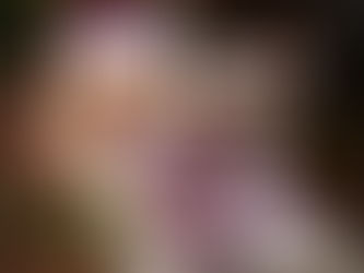 A festive holiday display featuring a purple ube roll cake decorated with powdered sugar and red berries, placed next to a box of Pondan Ube Chiffon premix and a bottle of Butterfly Ube Flavoring.