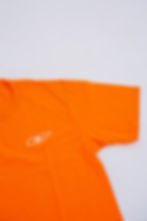 Thumbnail: Tennessee SKI Tee