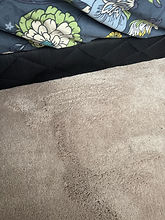 residential-carpet-cleaning-orleans-bedroom-after.jpg