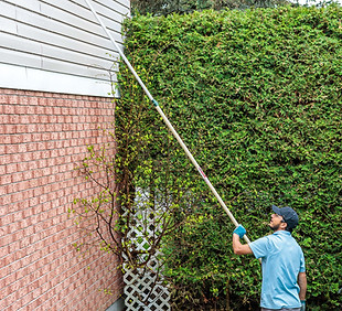Siding Cleaning in Ottawa.jpg