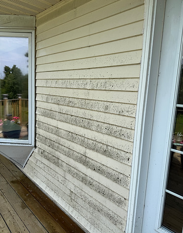 Siding Cleaning Before1.JPG
