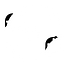 autumn.png