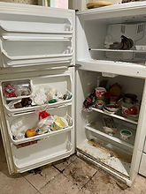 Deep Fridge Cleaning in Ottawa