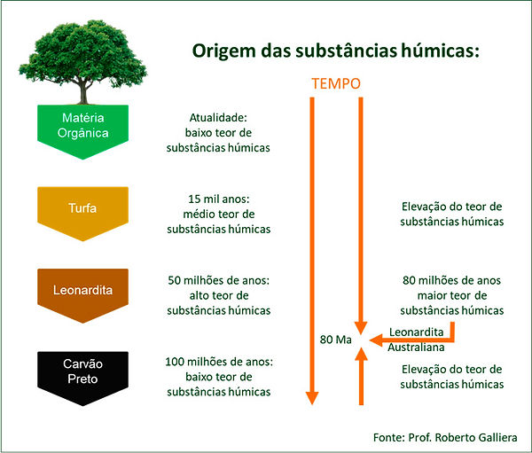 humicas.jpg