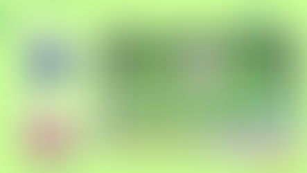 Kiwanis Cow Patty Bingo