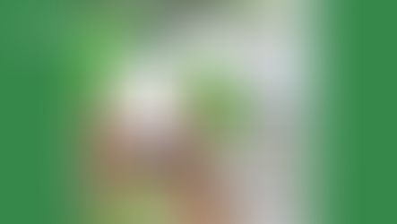 PACS A Simple Gesture