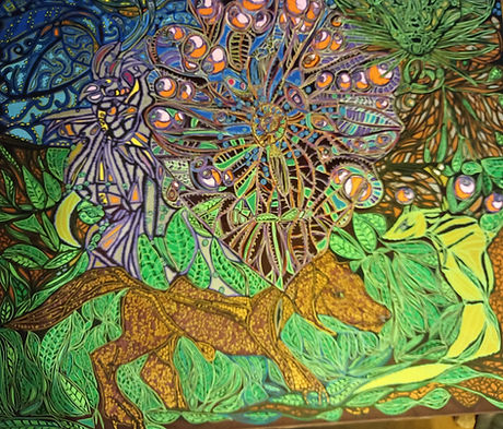Zaza forêt