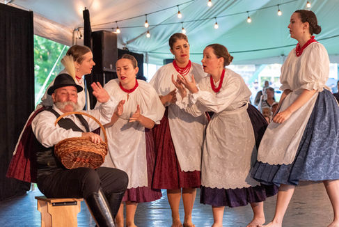Ensemble de folklore hongrois Bokréta