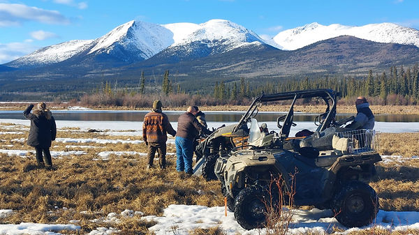 véhicules Elks foxs wolf