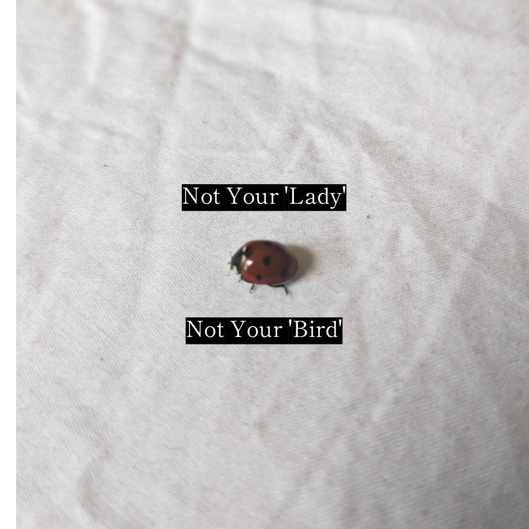 Not Your 'Lady' Not Your 'Bird'