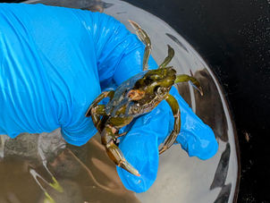 Year One Beach School
