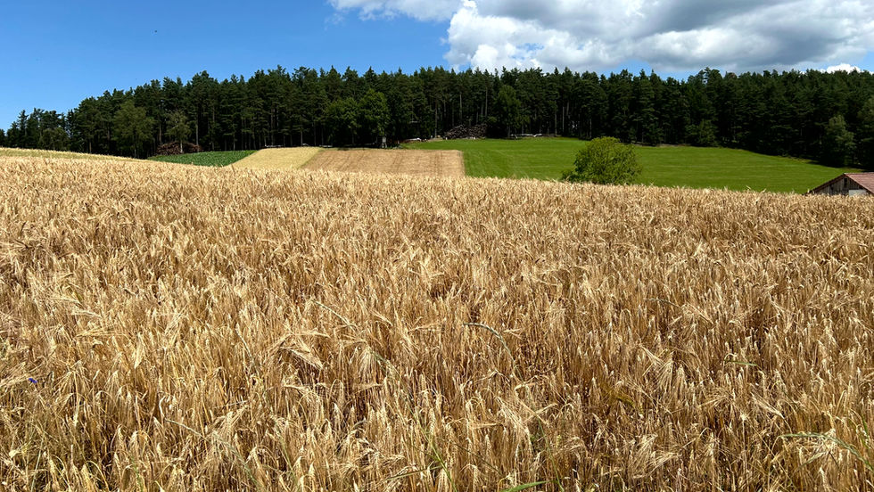 Der Drescher war da...