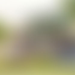 短期寒暑假遊學，帶你去最適合你的美國城市