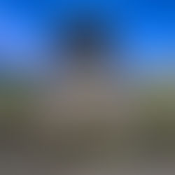 Amazon Corporate Headquarters 科技創新的中心