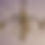 Thumbnail: Stylish Arts and Crafts Brass Chandelier with original vaseline glass shades