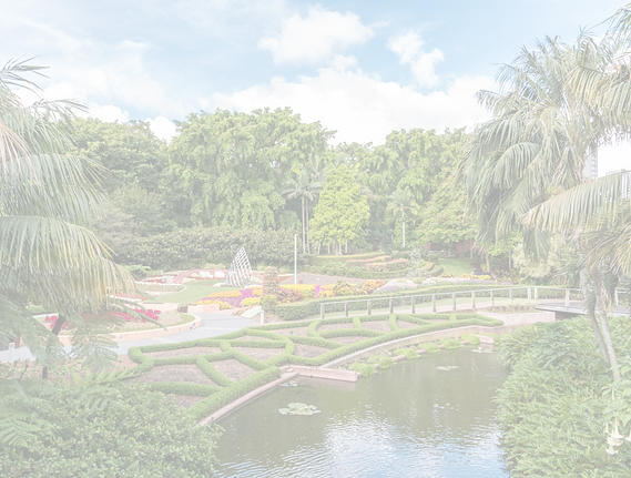 Beautiful Park_edited.png