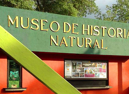 discover-1011-1-museo-de-historia-natura