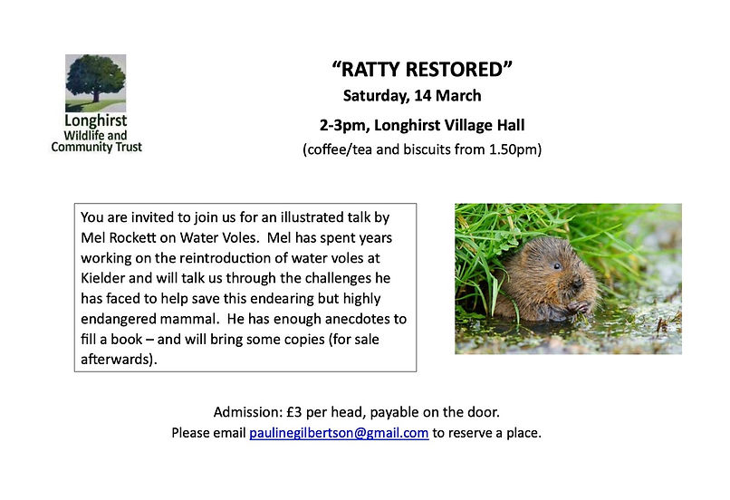 Restoring Ratty.jpeg