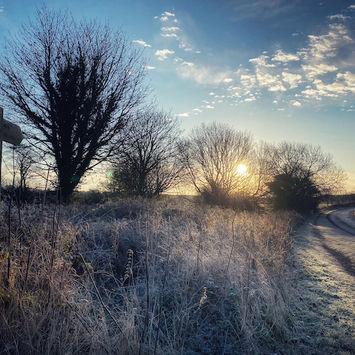 Frosty-Morning-Mark Davis