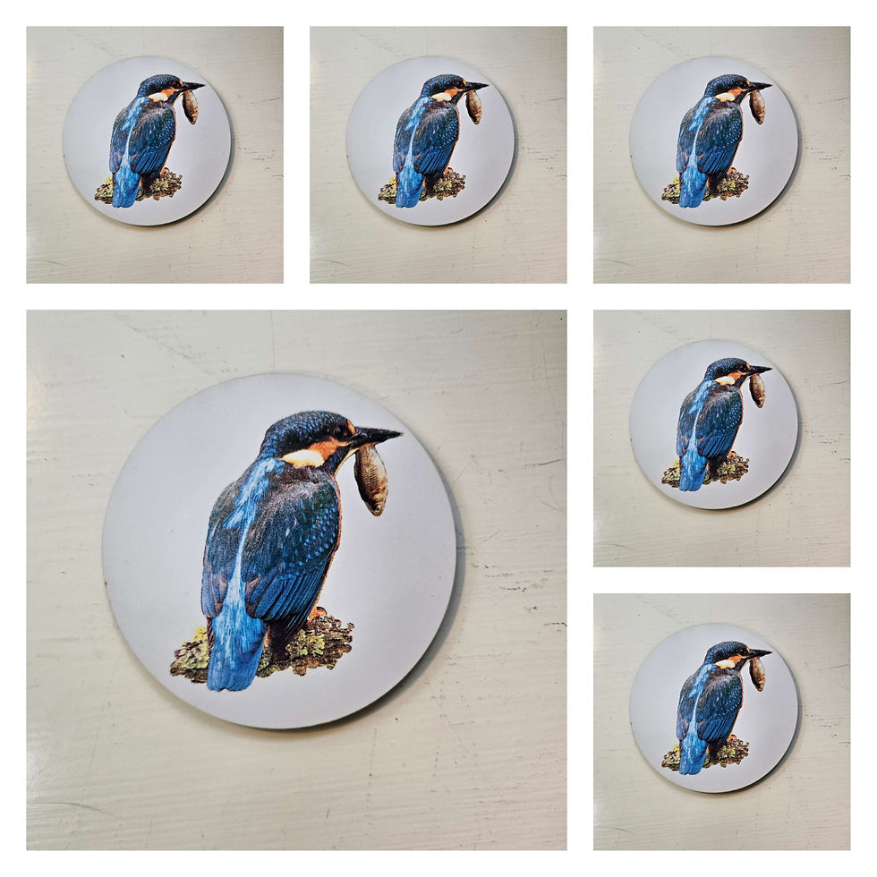 Thumbnail: Round Kingfisher White Coaster